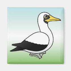 Masked Booby Square Magnet