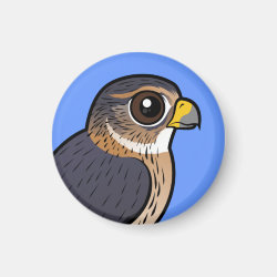 Merlin Round Magnet