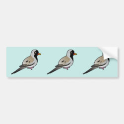 Namaqua Dove Bumper Sticker