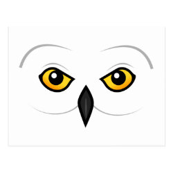 Snowy Owl Face Postcard