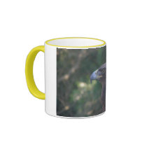 birds 001 mug