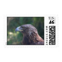 birds 001 stamp