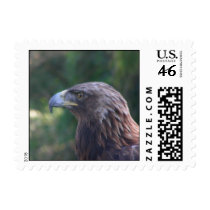Birds 001 Stamp