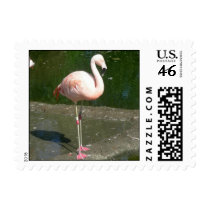 Birds 002 Stamp