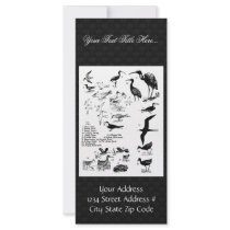 Birds 11 custom rack cards
