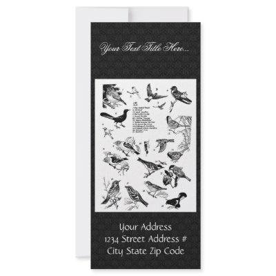Birds 15 custom rack card by animalpark