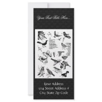 Birds 15 custom rack card