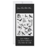 Birds 15 custom rack card