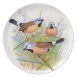 BIRDS #1 Name Your Plate
