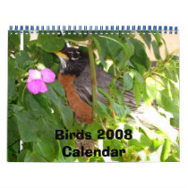 Birds 2008Calendar by dennyph Birds 2008Calendar