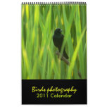 Birds 2011 Calendar