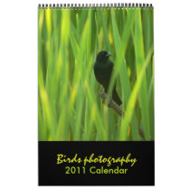 Birds 2011 Calendar