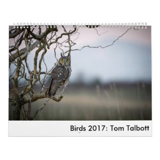 Birds 2017: Tom Talbott