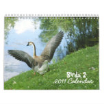 Birds 2 - 2011 Calendar