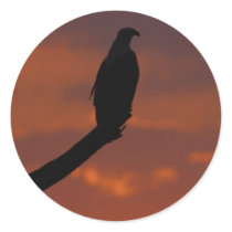 Birds 3 stickers