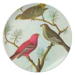 Birds #4 Plate