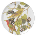Birds #7 Plate