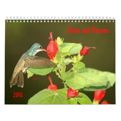 Birds  Blooms on Birds And Blooms 2011 Calendar From Zazzle Com