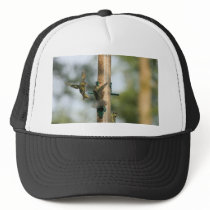 Birds At Feeder Trucker Hat