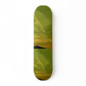 birds at sunset, birds at sunset skateboards