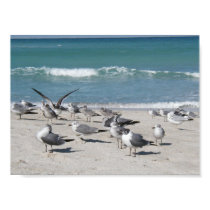 Birds at the beach posters