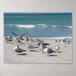 Birds at the beach print