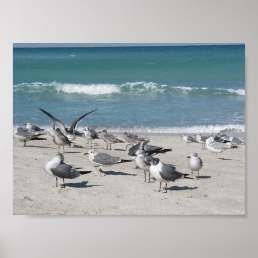 Birds at the beach print