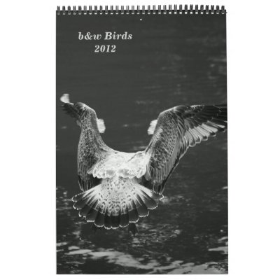 Birds b&w Calendar by 2011calendars
