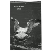 Birds b&w Calendar