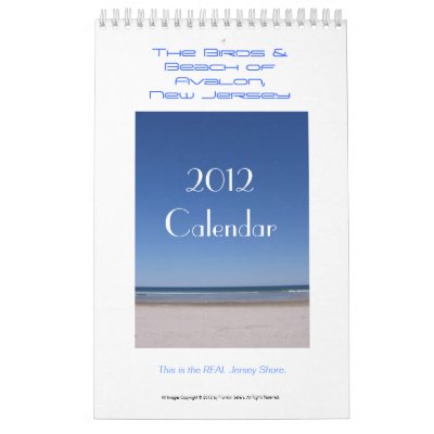 Birds & Beach of Avalon, NJ 2012 Calendar by monbois