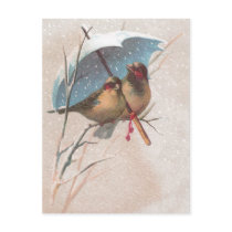 Birds Beneath Blue Umbrella Postcards