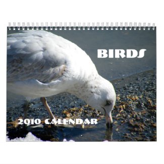 Birds Calendar calendar