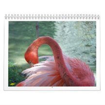 Birds Calendar