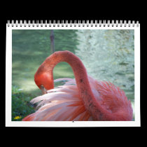 Birds calendars