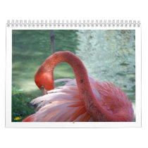 Birds calendars