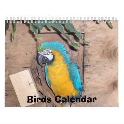 Birds Calendar by amjon1