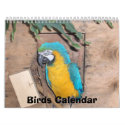 Birds Calendar by amjon1 Birds Calendar
