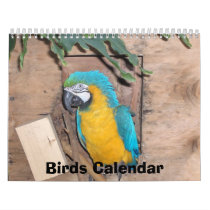 Birds Calendar