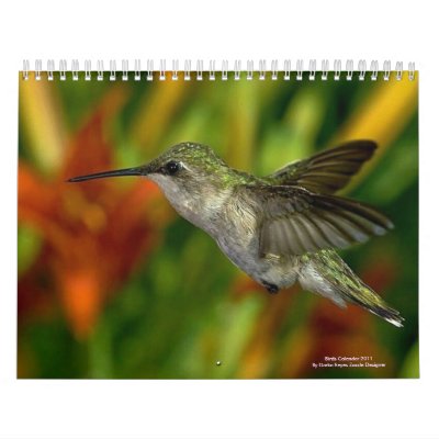 Birds Calendar 2011 by DorkaReyes