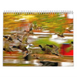 Birds Calendar 2012