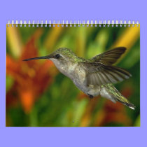 Birds Calendar 2012 calendars
