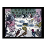 Birds Dinner Party Postcard