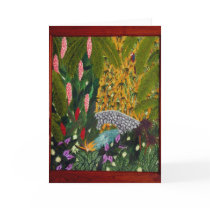 Bird's Eye View cards
