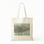 Bird's Eye View Map of Corpus Christi Texas 1887 Bags