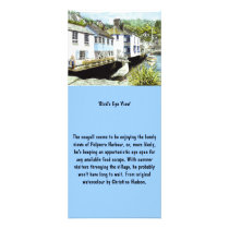 'Bird's Eye View' Rack Card