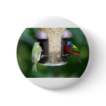 Birds Feeding Pinback Buttons