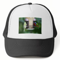 Birds Feeding Trucker Hats