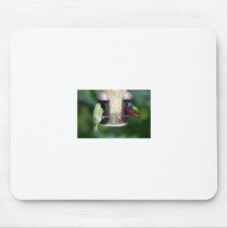 Birds Feeding Mouse Pad