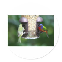 Birds Feeding Stickers