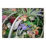 Birds & Flower Card